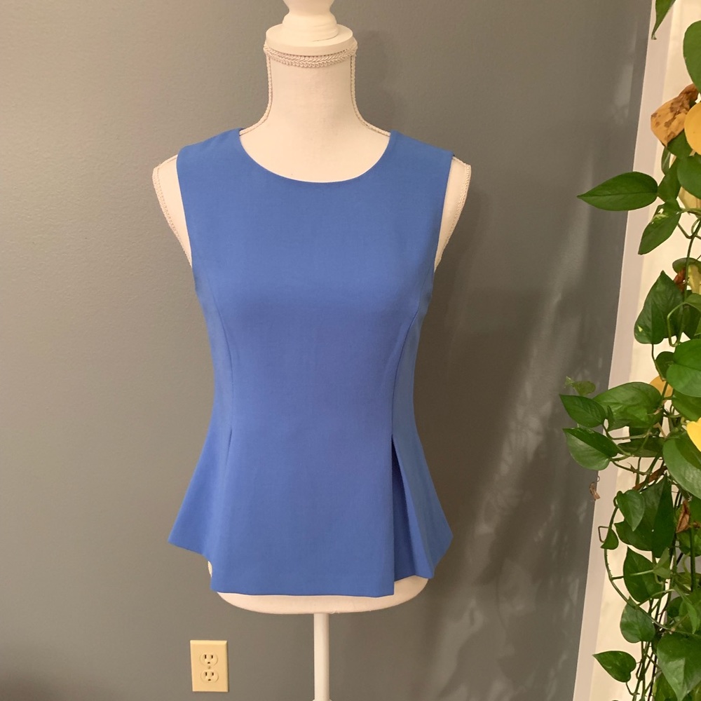 NWT! Diane Von Furstenberg Blue Cornflower Top~Size 2